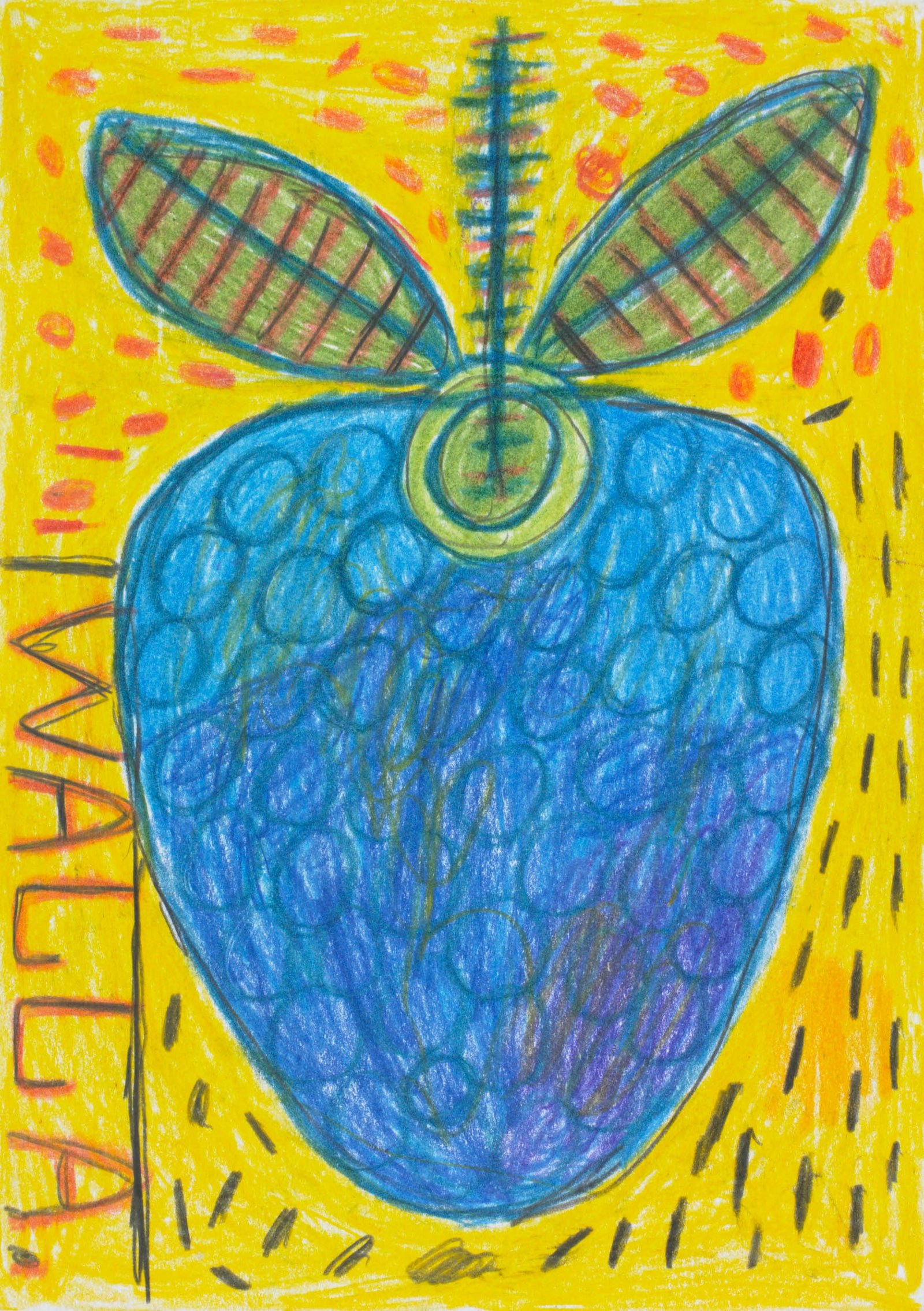 August Walla - Blackberry