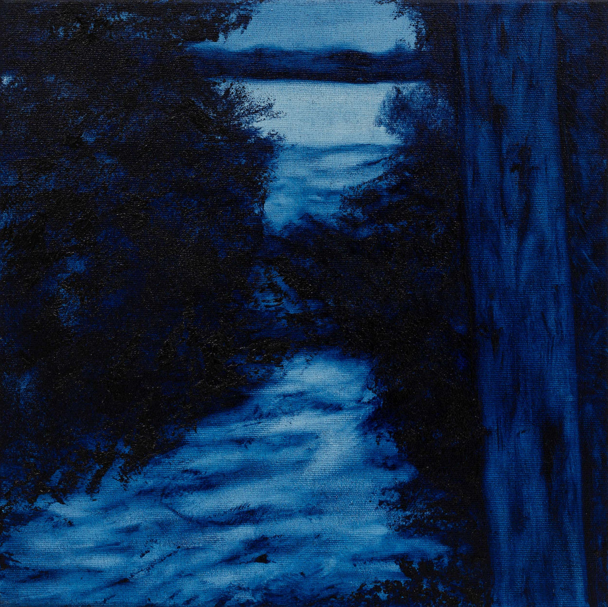 Attracted by the light