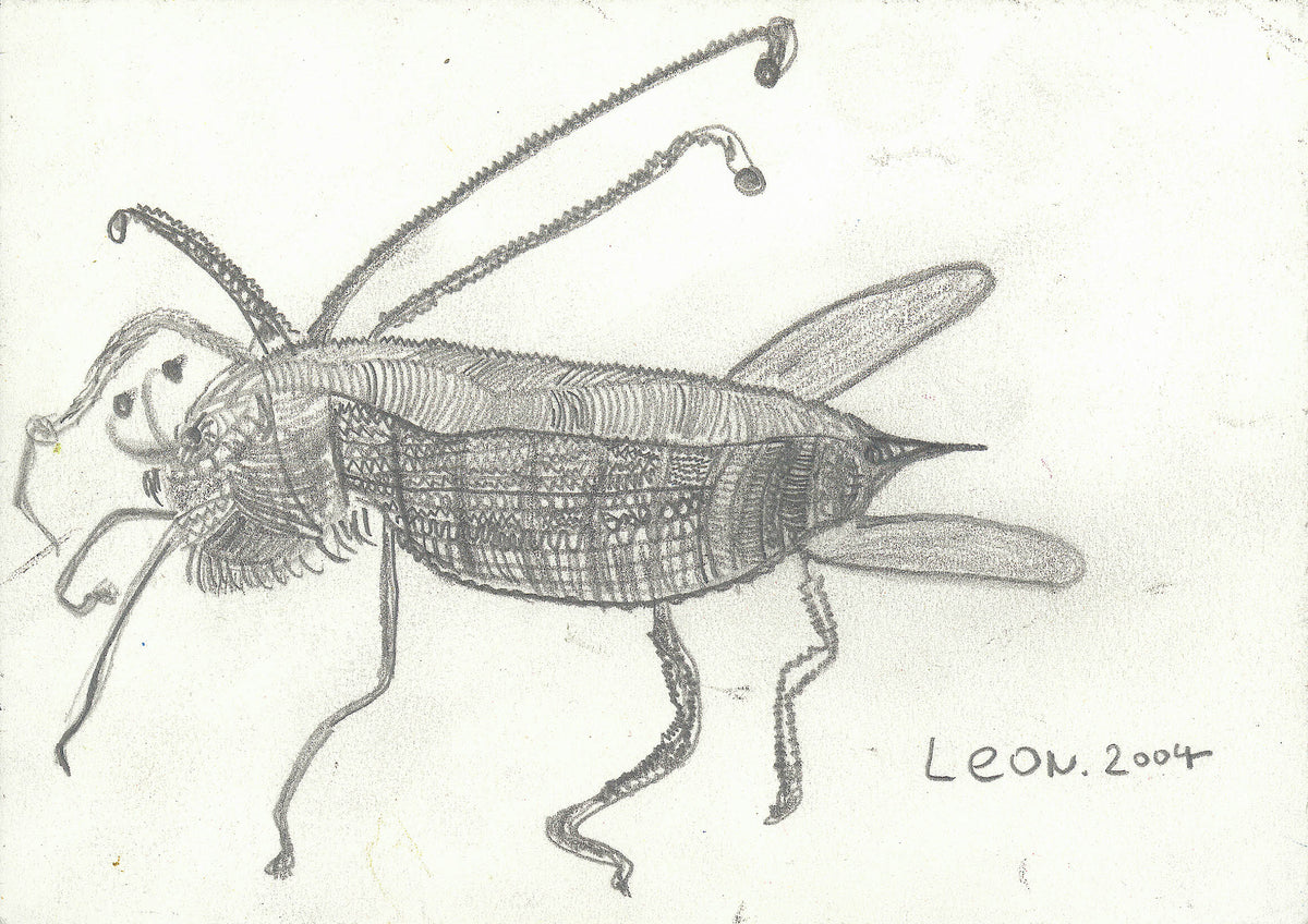 A Siberian fighting bee