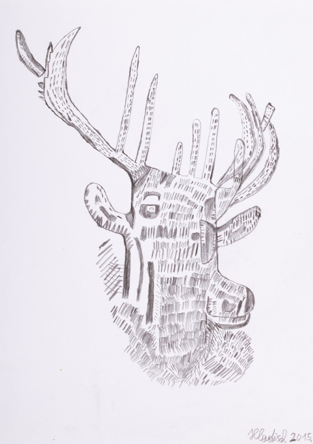 Deer antlers