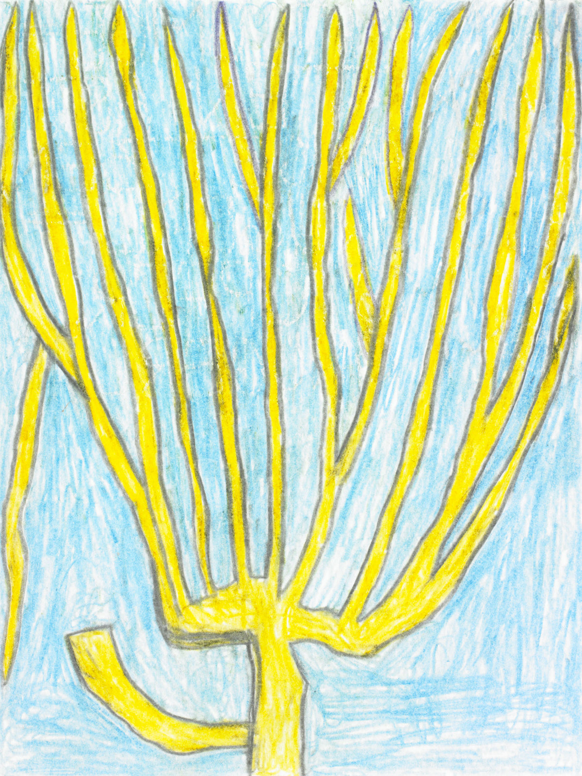 TREE WITH CHOPPED BRANCH